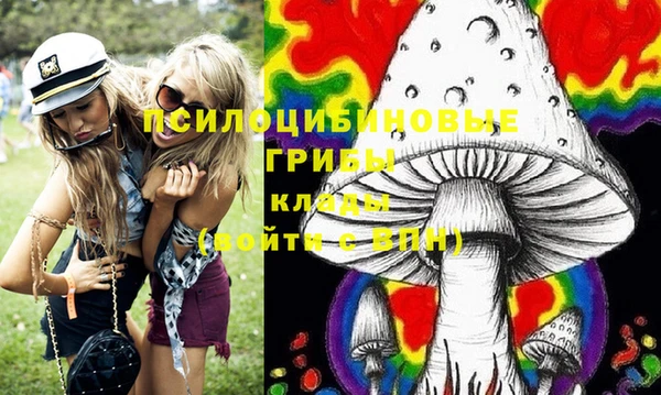 эйфоретик Пересвет
