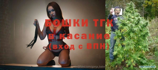 гидра Переславль-Залесский
