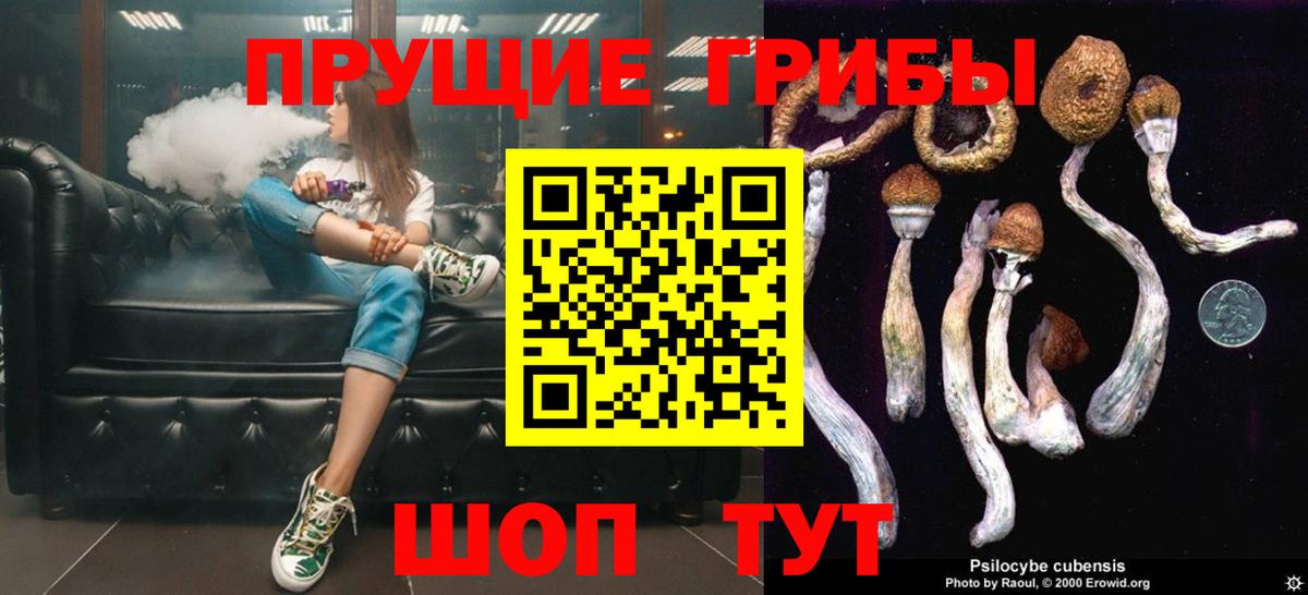 Сафоново  Галлюциногенные грибы прущие грибы  Вход с VPN 